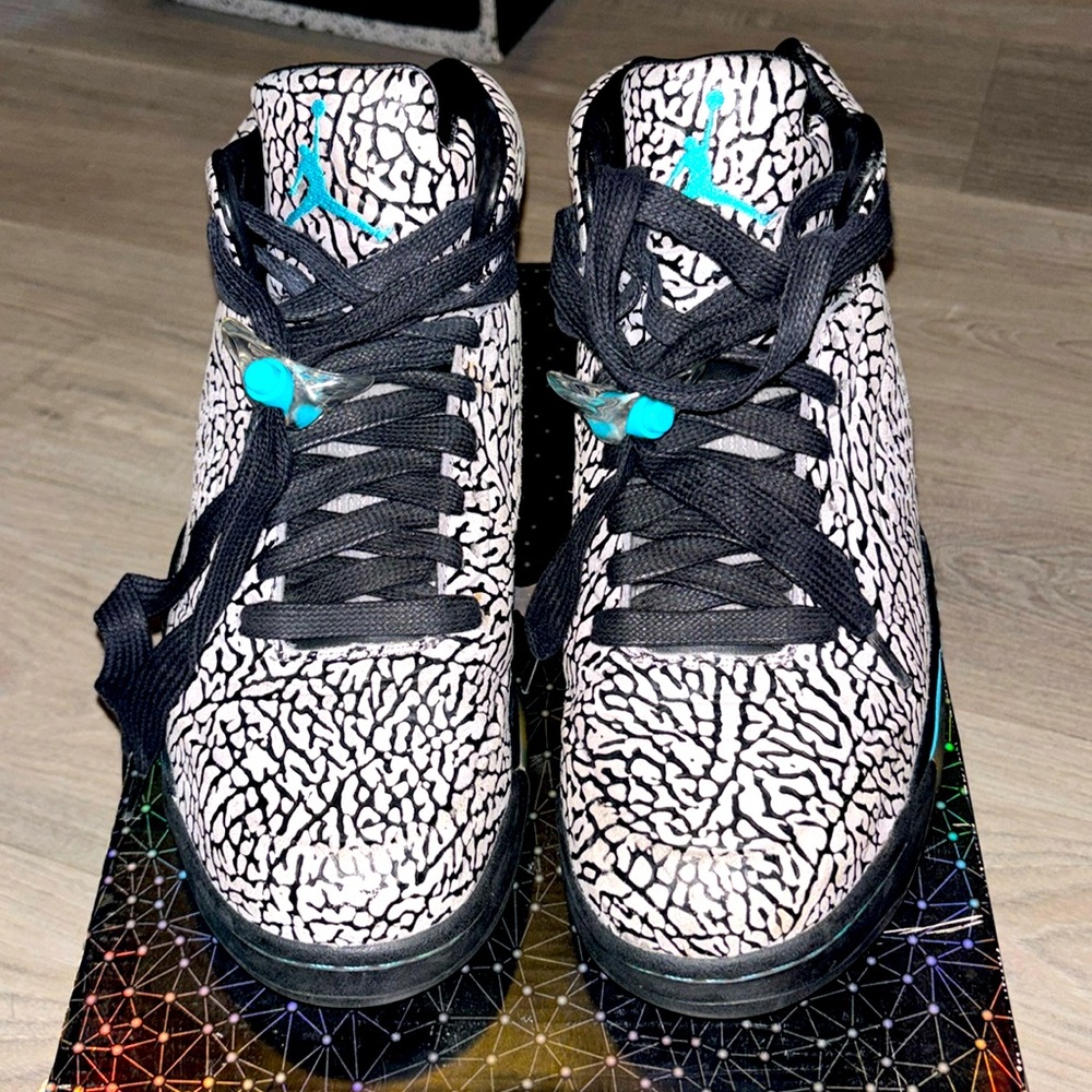 2013 Air Jordan 3Lab5 Elephant Print (worn, w/ box)